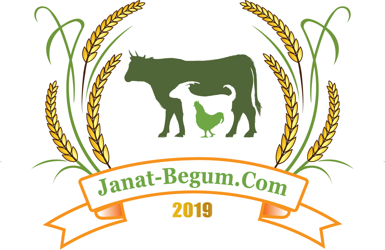 Janat Begum